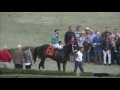 Sunday, Feb. 28 - $100,000 2016 Nodouble Breeders'