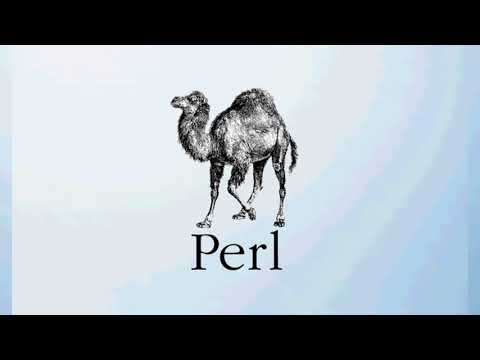 Programlama Dilleri 5 / Perl Nedir - Neler Yapılır