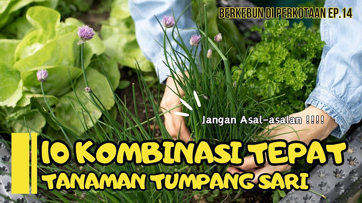 10 Perfect Combinations of Intercropping Plants