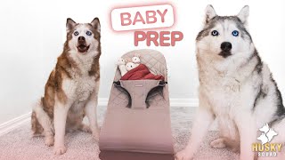 Preparing Our Dogs for a New Baby: TOP 7 TIPS