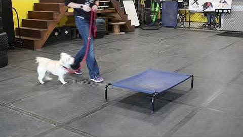 Teaching the Place Command - Part One | Introduction and implementing the release command.