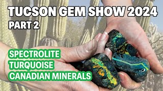 Tucson gem show part 2 - Spectrolite, Turquoise & Canadian Minerals
