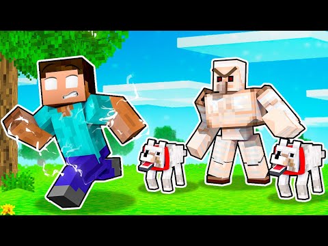 Golems and wolves hate Herobrine in Minecraft!!