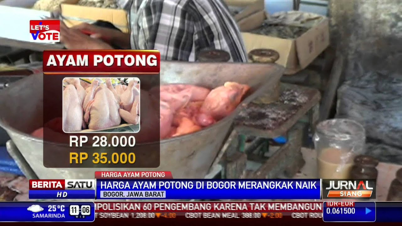 Harga Ayam Potong di Bogor Terus Merangkak Naik - YouTube