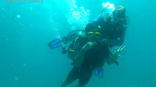 Scuba Diving at Andaman Islands 🤿 Havelock Islands #scubadiving #havelockisland #andaman #portblair