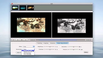 How to Convert M2TS Files on Mac - M2TS Converter for Mac