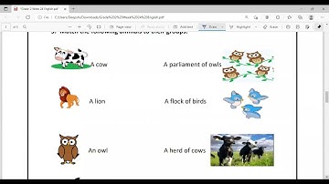 EDMC | CLASS 2 | WORKSHEET | WEEK 24 | ENGLISH | EASY AND FULL EXPLANATION