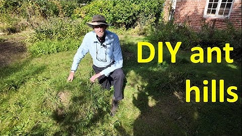 A novel method for creating ant hills