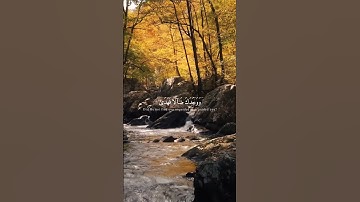 سوره ضحی | محمد صدیق المنشاوی #قرآن