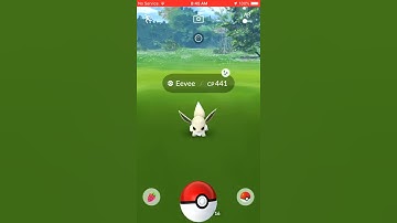 Shiny Eevee in Pokémon Go! (Jump Start Research)