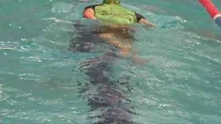 Swimsation Breaststroke Training, Opposite 1 Arm 1 Leg