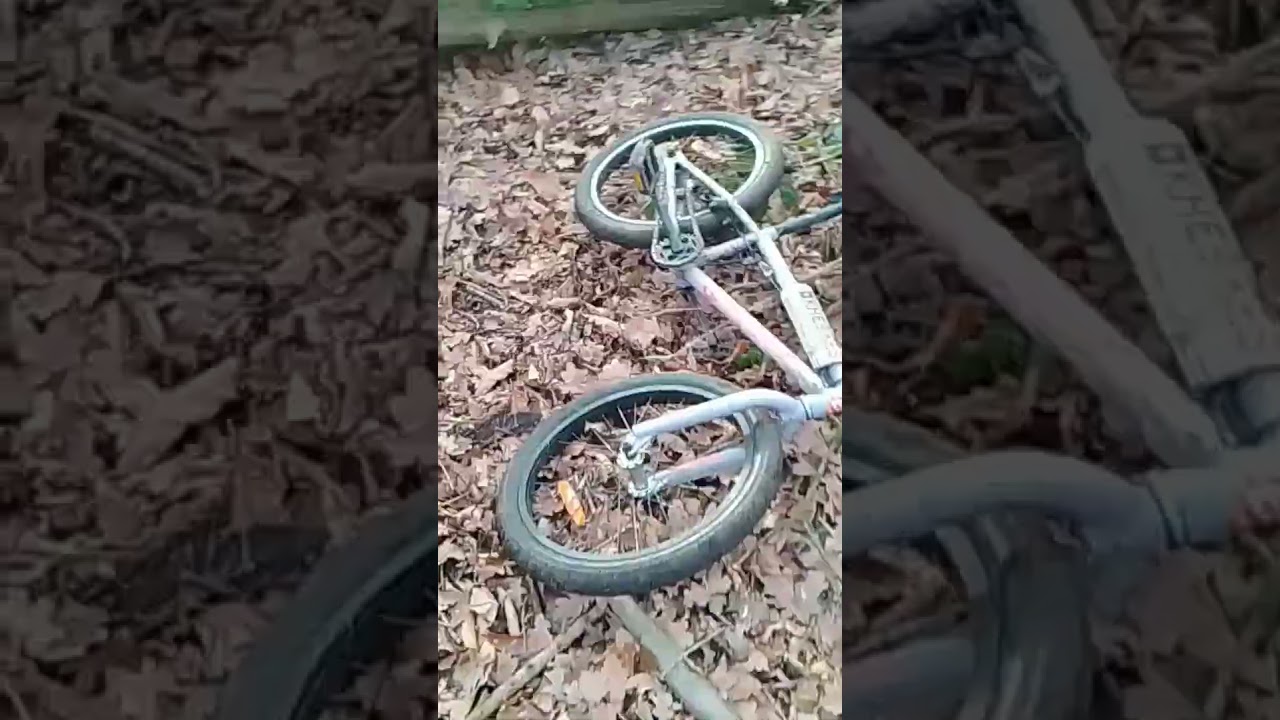 Found Bigfoot's winter cabin in the woods 🪓🪓..