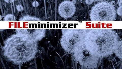 NFO Komprimierung - FILEminimizer Suite