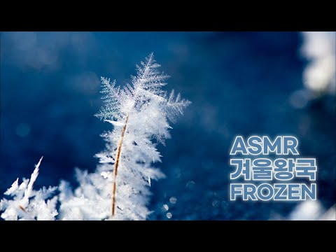 ASMR 얼음으로 뒤덮인 겨울왕국, 디즈니 