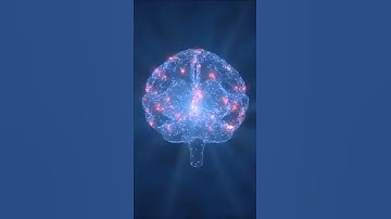 10 Habits That Supercharge Memory And Boost Brain Power