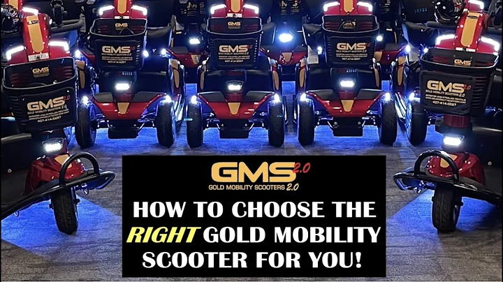 How To Choose the RIGHT GMS Scooter - DayDayNews