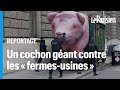 Greenpeace dverse 2 tonnes de lisier devant le ministre de lagriculture et gonfle un cochon gant