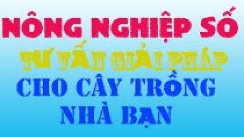 Nguyên nhân trưa nắng ớt héo