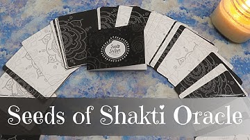 The Seeds of Shakti Oracle | Walkthrough | First Impressions