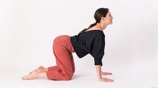 Learn cat-cow with adriene! the yoga progression is a little dance up
spine that perfect for beginners! it also invites experienced yogis to
k...