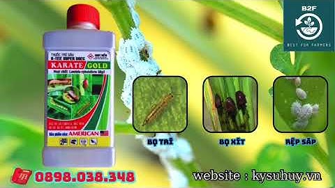 KARATE GOLD ATT – TOP 1 TRỊ SÂU ĐỤC THÂN, BỌ TRĨ, RỆP SÁP - 0898.038.348 #karategold