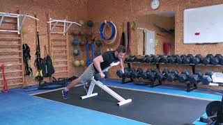 Dumbbell Prone High Row On Bench