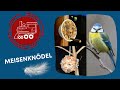 MEISENKNÖDEL  selber machen ... Thermomix® TM6,TM5, TM31