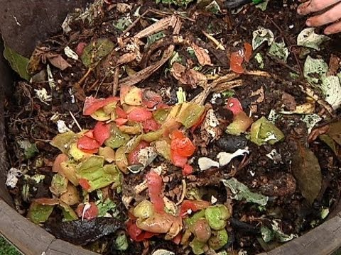 Vídeo: El tall de restes ajuda a compostar: obteniu informació sobre com es tritura les restes per fer compost