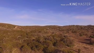 Shooting video in 24 fps seems to eliminate the pulsing issue! Phantom 3 standard 1080p, 24 fps