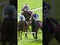 Melbourne Cup Dreams! | Al Riffa