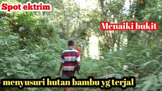 Download lagu nekat mancing dk spot seram tak terjamah