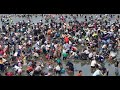 Đây chính là lý do khiến người Nhật đổ xô đi bắt sò trên biển
