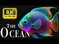 The Ocean 8K ULTRA HD - Los mejores animales marinos 8K para relajarse y música relajante