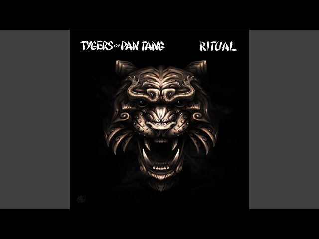 Tygers Of Pan Tang - Raise Some Hell