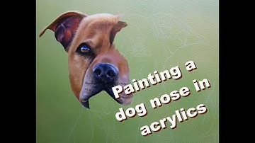 Painting a dog nose in acrylics