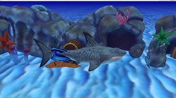 Shark finning awareness project in alice 3