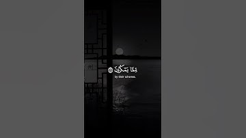 Surah an-Nahl | سورة النحل