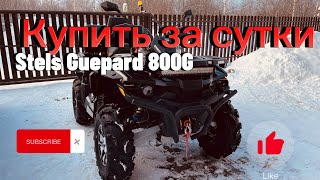 Купил Stels Guepard 800G за 24 часа