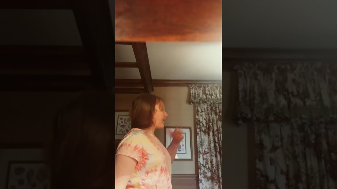 3 5 Foxy Pov