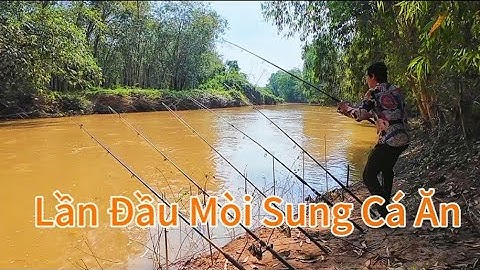 Câu Cá Suối Rạt, Vịnh Mới Đẹp Rộng Thích Hợp Cho Săng Hàng Và Cấm Trại /#105/Hòa Vlog 934.