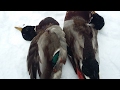 охота с пневматикой хатсан 125 зимой !hatsan 125 pneumatic duck hunting!air guns