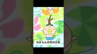 わからんの花の正体 Youtube