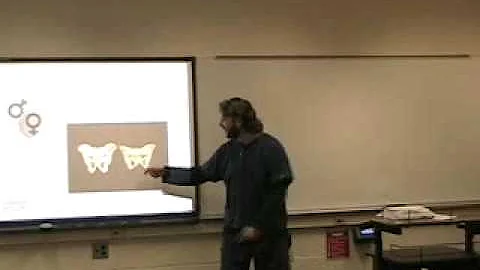 Foley Catheter Speech