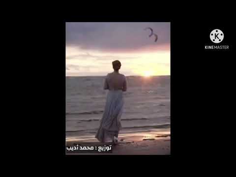 علي محمود السامر حبيت أسلم وبس