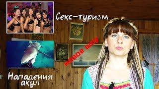 Лучшие страны для секс-туризма. Нападения акул в Египте. Куда мы отправимся дальше - в видео