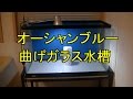 海水風水槽立ちあげ　曲げガラス水槽とバックスクリーン貼り付け