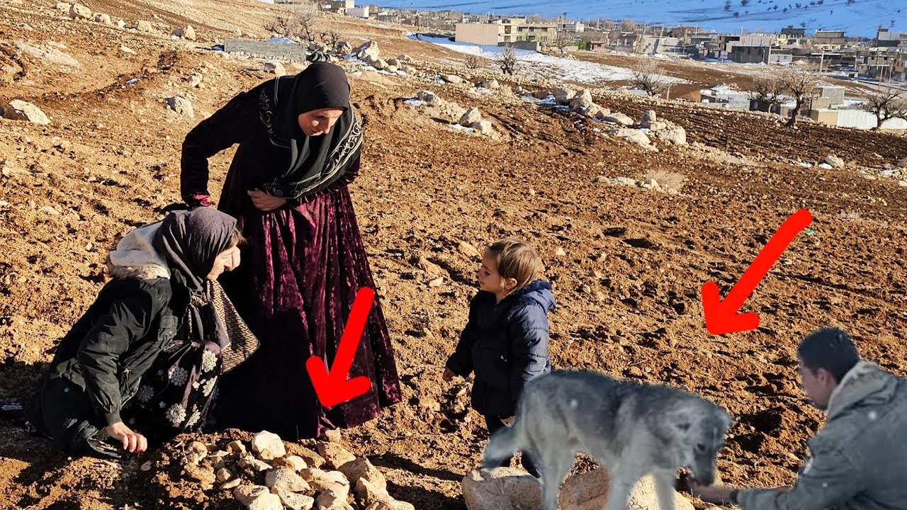 Elham's longing and visiting Baki's grave😭