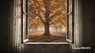 Hicran Enstrümantal Fon Instrumental Background 
