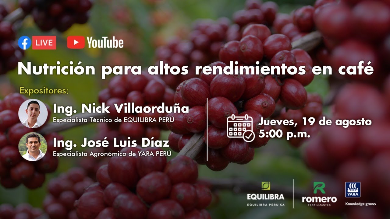 Nutrición para altos rendimientos en CAFÉ