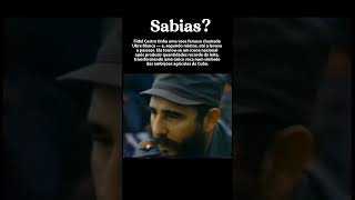 Ubre Blanca: A Vaca de Fidel Castro que Virou Símbolo Nacional